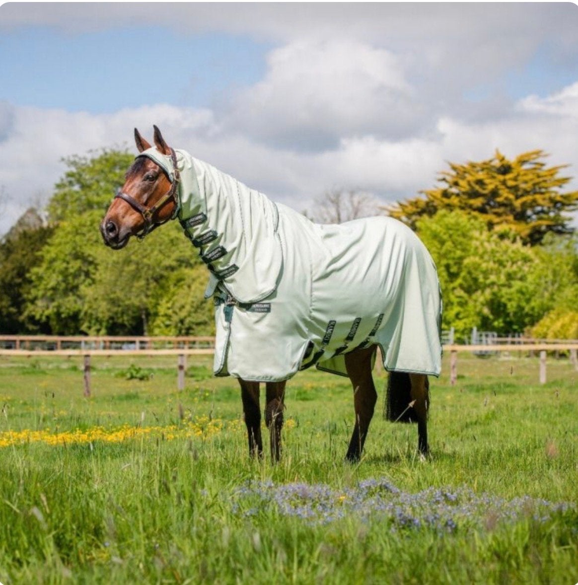 Eczeemdeken Rambo Sweet Itch Hoody Full Neck Lichtgroen 206, Ophalen of Verzenden, Zo goed als nieuw