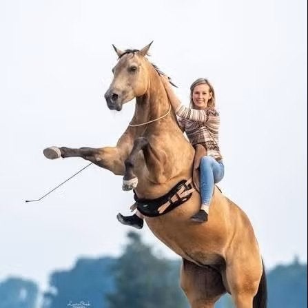 Featherlight HorseManship online cursus, Verzenden, Niet van toepassing, Nieuw, Yvet Blokesch