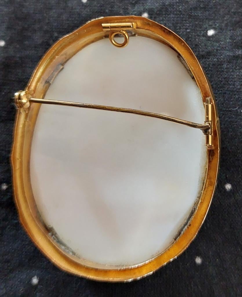 CAMEE SCHELP BROCHE HANGER  MET GOUD RAND, Sieraden, Tassen en Uiterlijk, Kettingen, Ophalen of Verzenden, Zo goed als nieuw, Goud