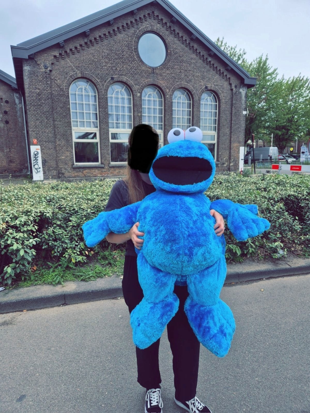 Grote Koekiemonster knuffel, Kinderen en Baby's, Ophalen, Overige merken, Overige karakters, Overige typen