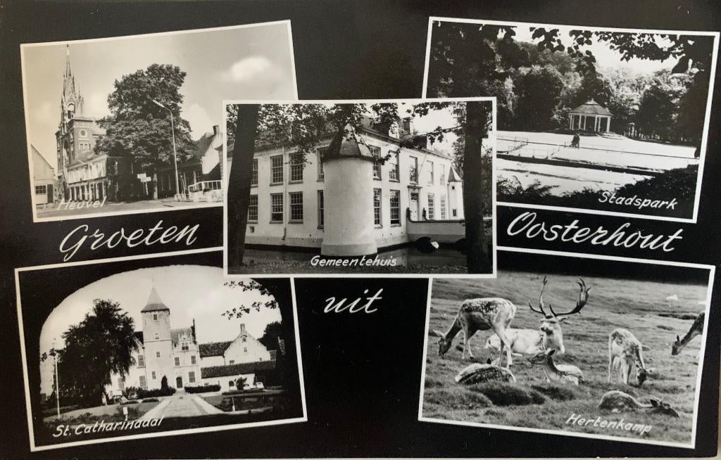 Oosterhout NB, meerdere zichten, Verzenden, 1960 tot 1980, Gelopen, Noord-Brabant