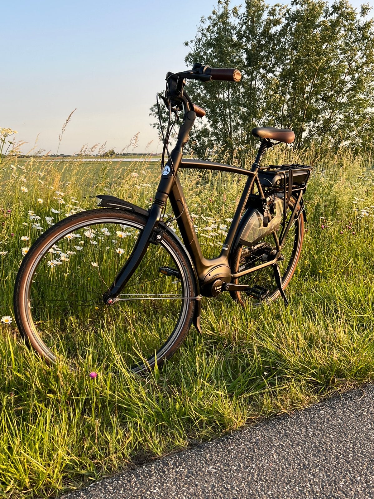 Gazelle Heren E-bike C8 – Zo goed als nieuw, 59 cm of meer, Ophalen, Zo goed als nieuw, Gazelle