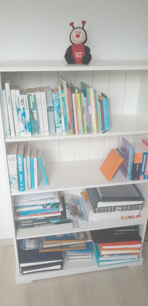 boekenkast, Ophalen, Gebruikt, 50 tot 100 cm, 150 tot 200 cm