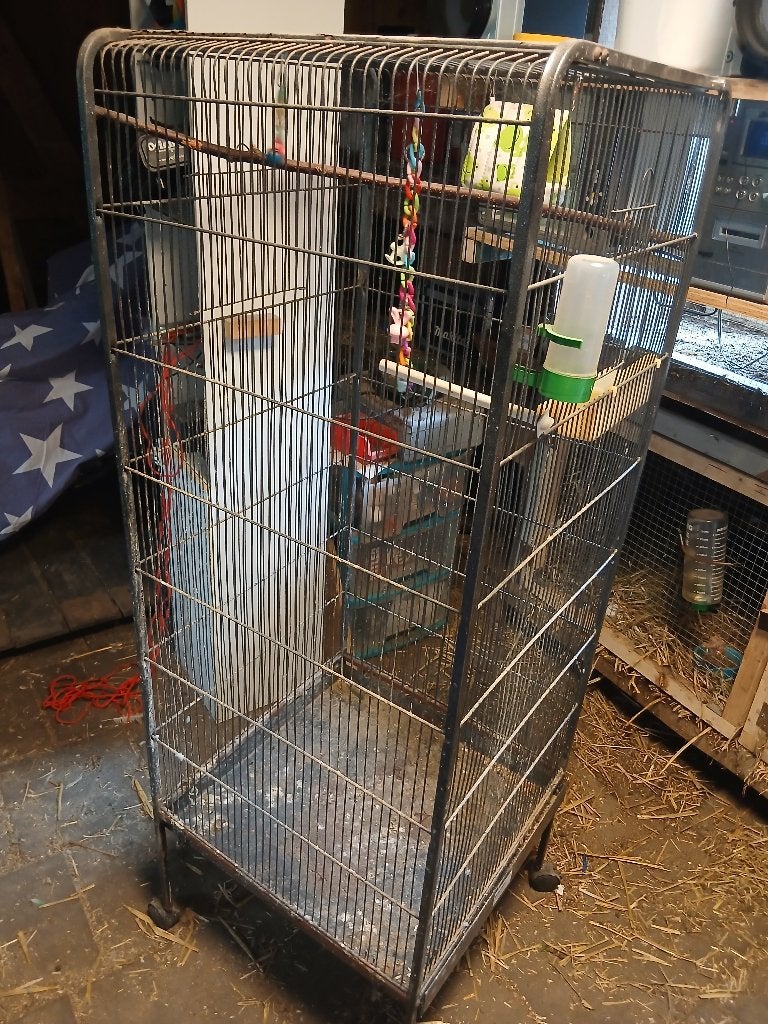 Kamer volgelkooi, Dieren en Toebehoren, Ophalen, Zo goed als nieuw, Aluminium, Volière