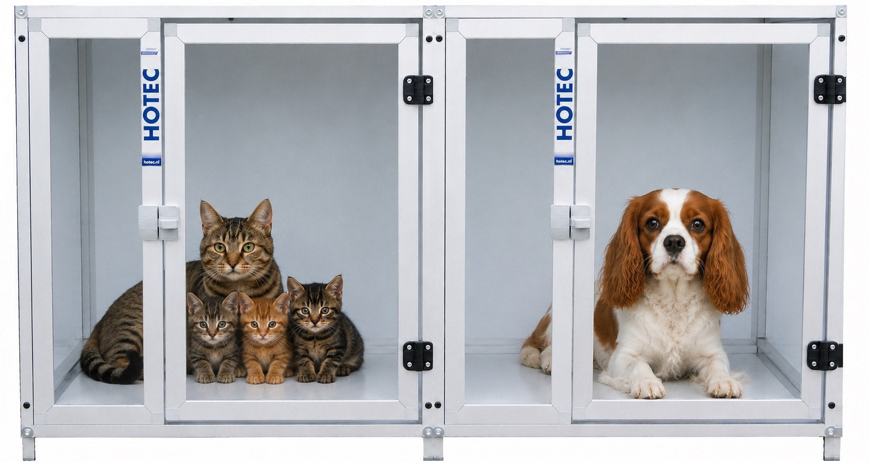 Huiskamerkennel voor uw hond, Ophalen, Hondenkennel, 65 tot 100 cm, Nieuw