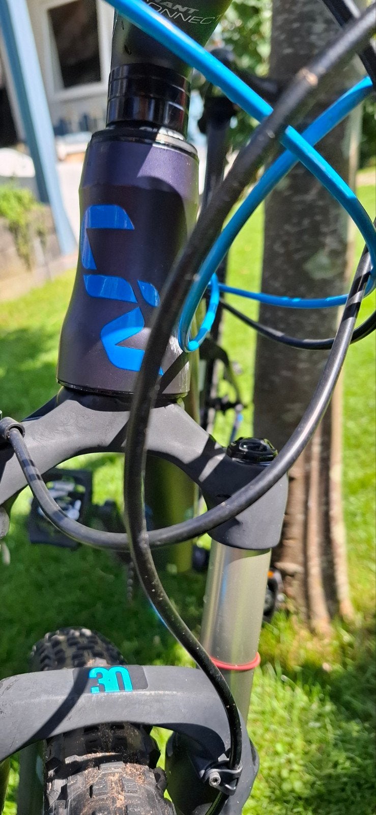 Liv Obsess Advanced Mountainbike - Dames, Ophalen, Gebruikt, Hardtail, 49 tot 53 cm