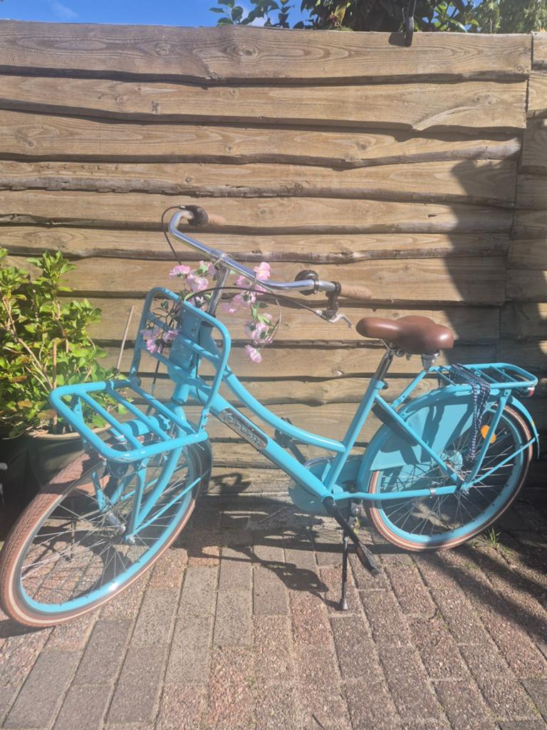 Popal meisjesfiets 24 inch, Minder dan 47 cm, Ophalen of Verzenden, Gebruikt, Overige merken