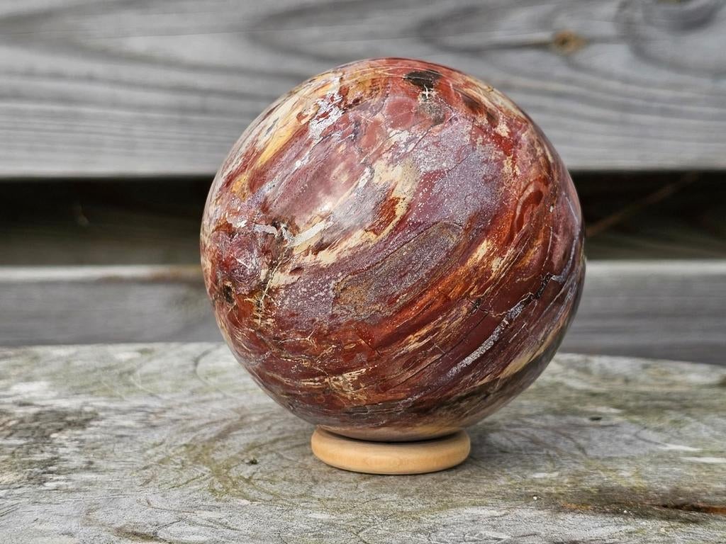 Mooi grote versteend hout bol 91 mm, Verzamelen, Mineralen en Fossielen, Ophalen of Verzenden