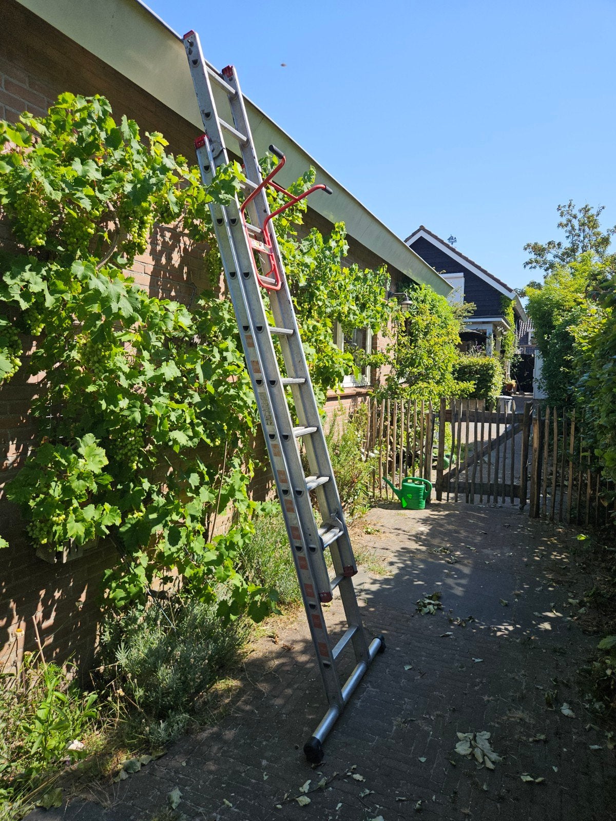 Altrex Ladder - Stevige en Betrouwbare uitschuifbare ladder, Doe-het-zelf en Verbouw, Ladders en Trappen, Ophalen, Gebruikt, Ladder