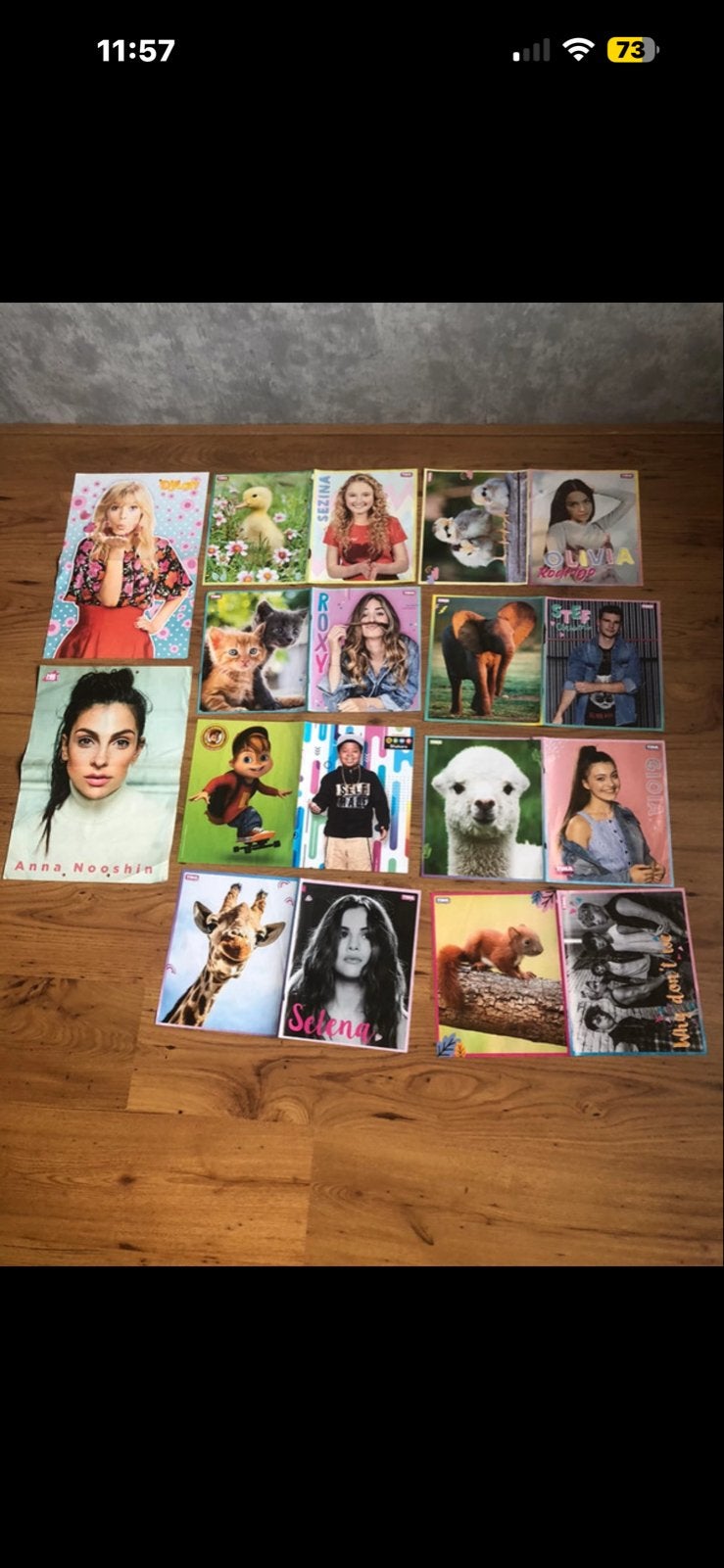 Diverse posters van artiesten en dieren - per stuk, Ophalen of Verzenden, Nieuw