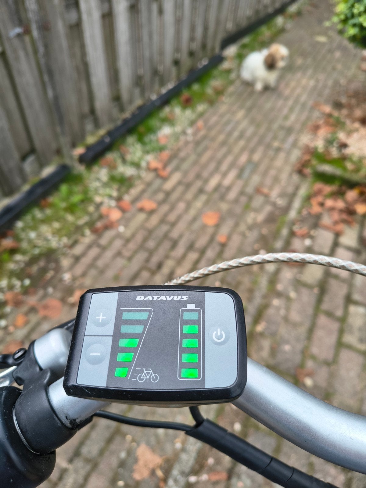 Foto 7 van Batavus Genova elektrische fiets
