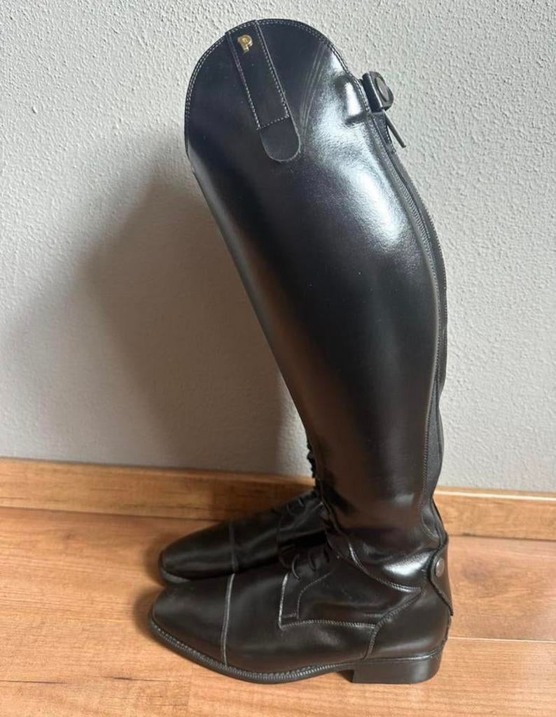 Nieuwe Petrie Melbourne maat 40, Dressuur, Nieuw, Ophalen of Verzenden, Dames