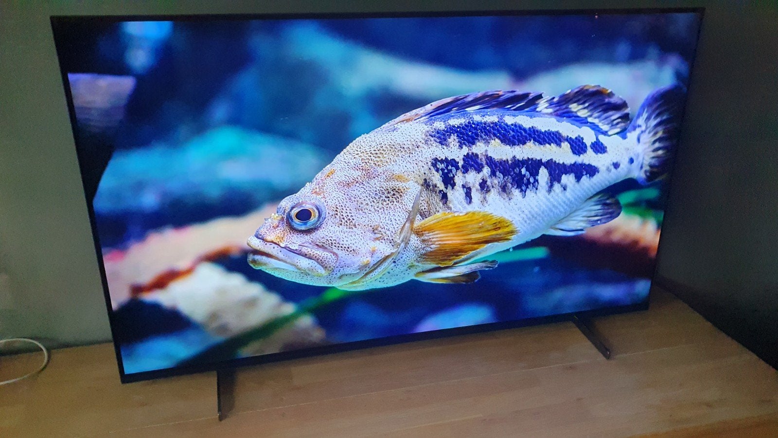 Sony KE-55A87 – 55″ 4K OLED Android Smart TV – 100Hz, Ophalen, OLED, Zo goed als nieuw, 100 Hz