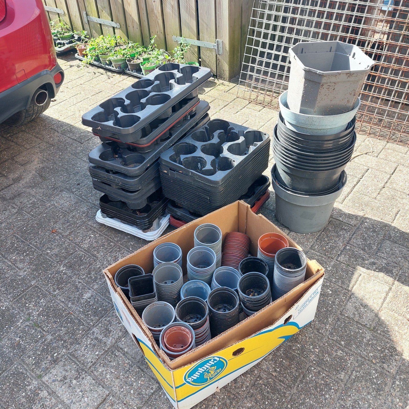 Plantenpotjes en trays Gratis, Ophalen, Gebruikt