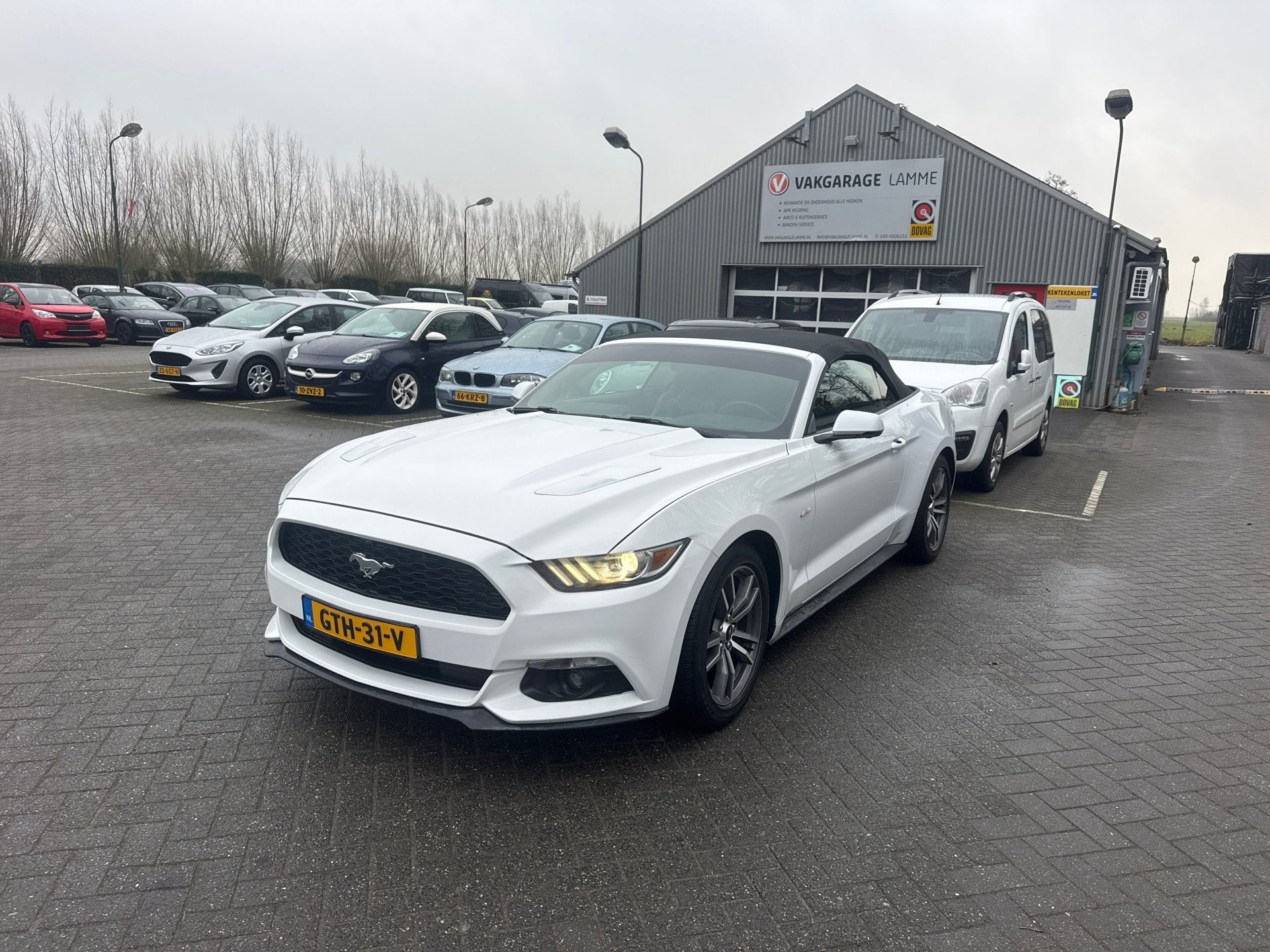 Ford Mustang Convertible 2.3 EcoBoost 317 pk, Auto's, Automaat, Dealer onderhouden, Achterwielaandrijving, Gebruikt