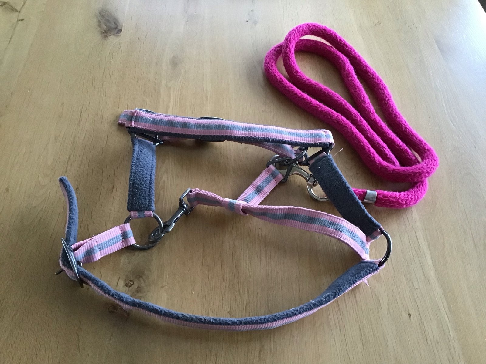 Pony Halster met vel roze touw igst, Ophalen of Verzenden, Gebruikt, Recreatie