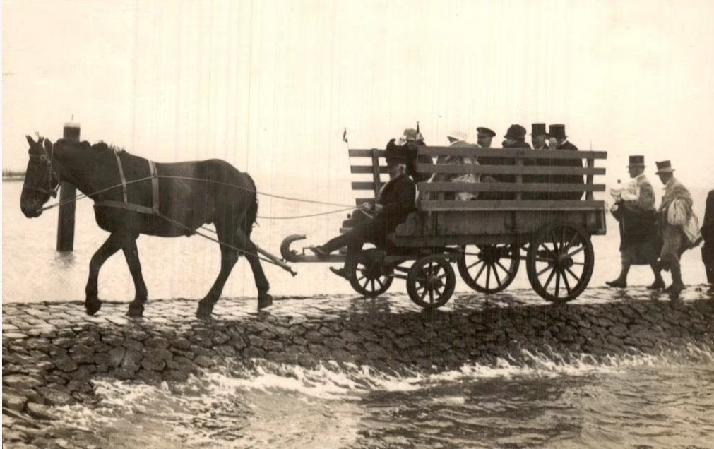 Vervoer-Beroepen-Foto-H-402-   Ameland -Repro, Verzenden, 1980 tot heden, Foto, Nieuw
