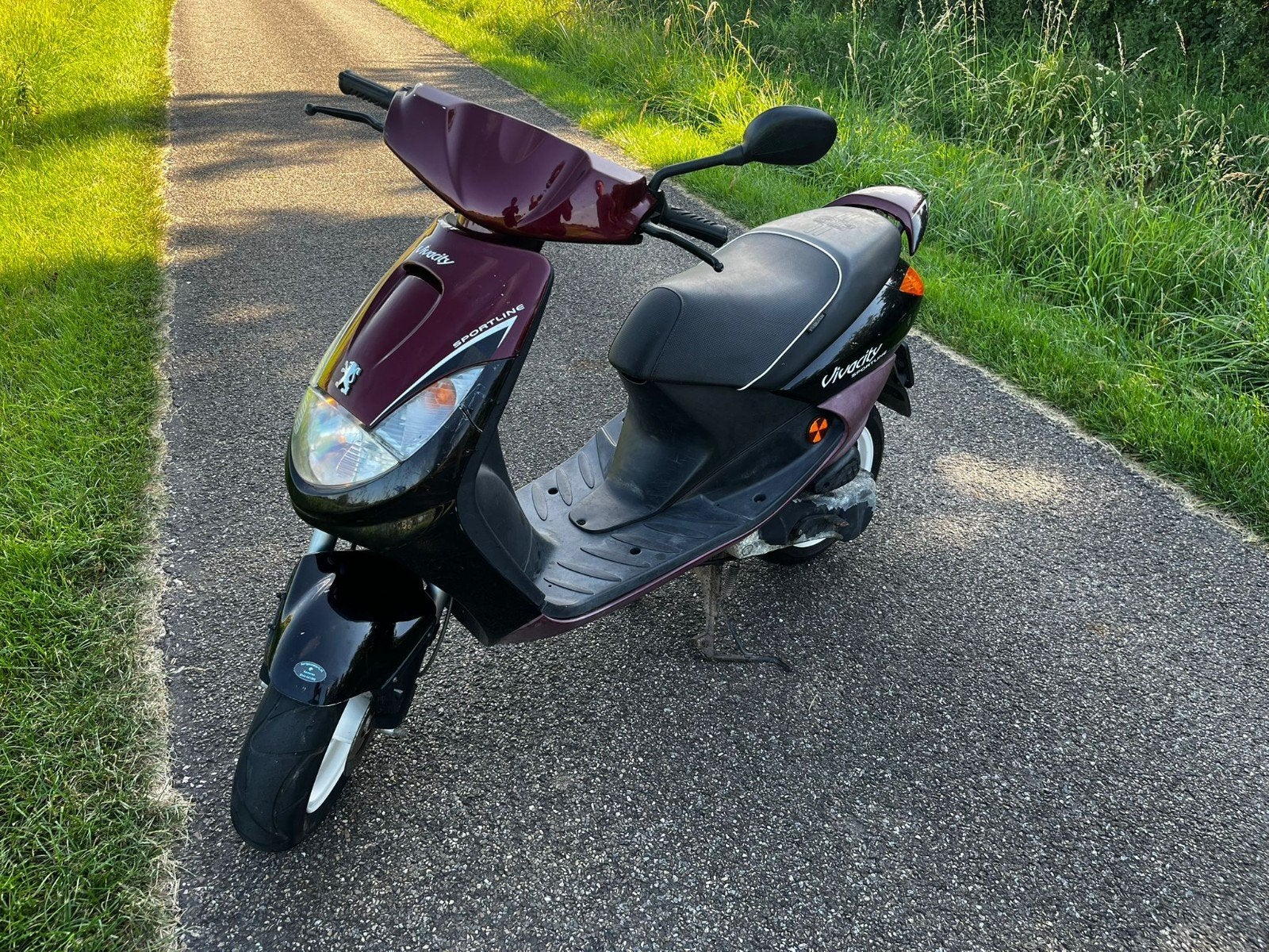 Goed rijdende Peugeot Vivacity, Ophalen, Gebruikt, Maximaal 45 km/u, Benzine