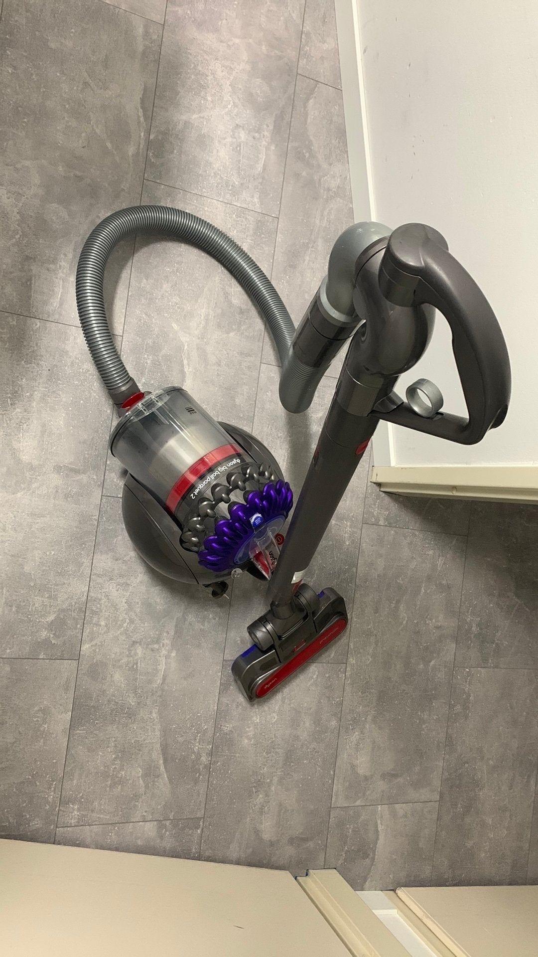 Dyson Big Ball Parquet 2