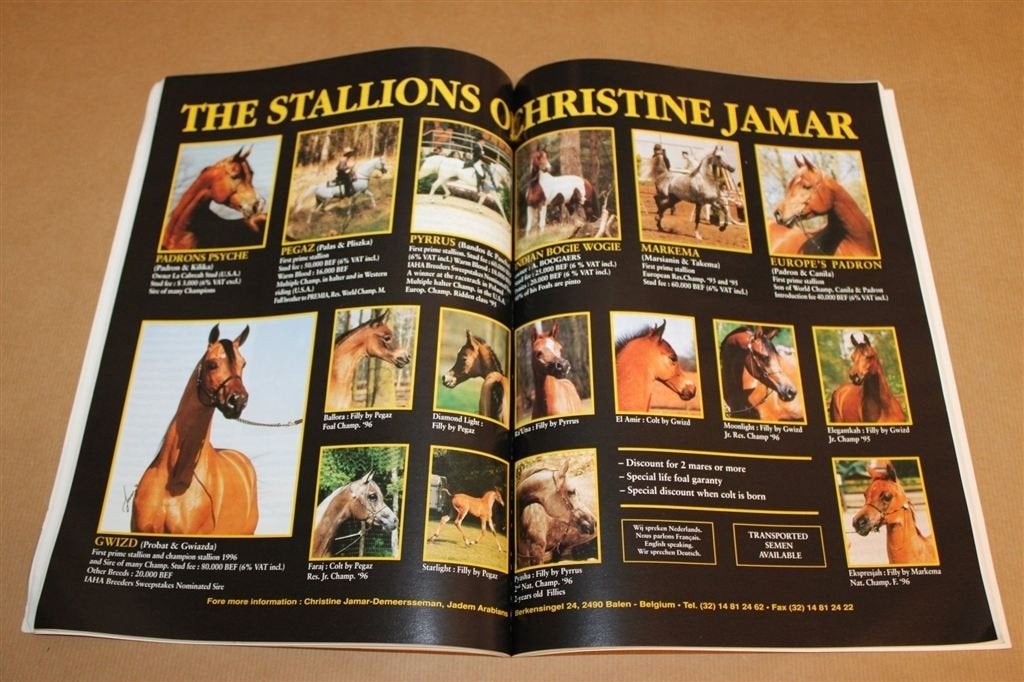 Het Arabisch Paard in België — Arabieren & Fokkerij 1997, Ophalen of Verzenden, Gelezen, Paarden of Pony's
