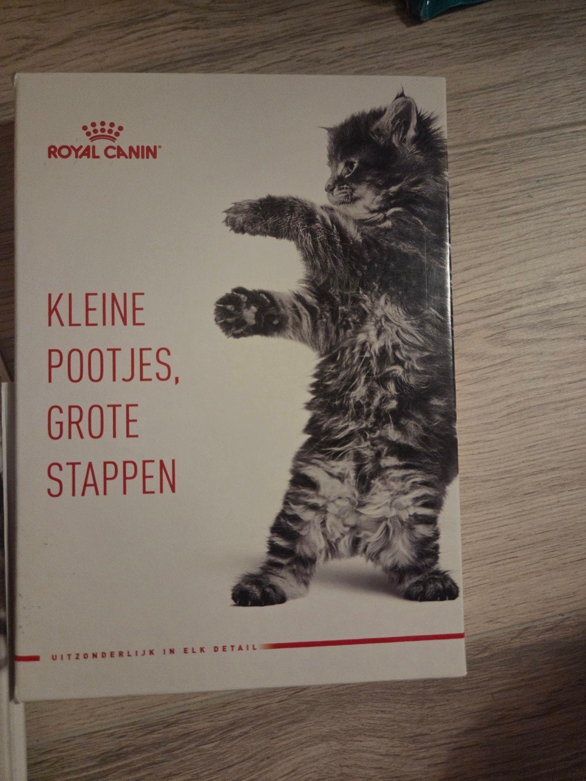 Kattenboeken: Kittengids, Ophalen, Gelezen, Katten, Diverse auteurs (Jackie Strachan, Paul Overgaauw)