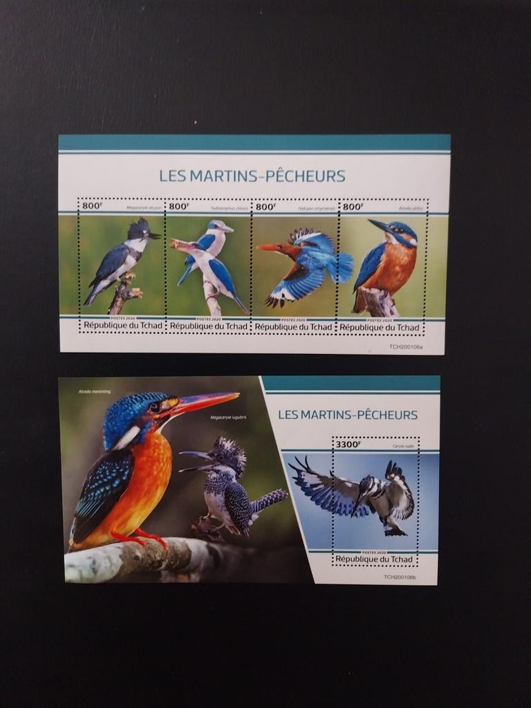 Tchad 2 blokken ijsvogels 2019 postfris, Postzegels en Munten, Ophalen of Verzenden, Dier of Natuur