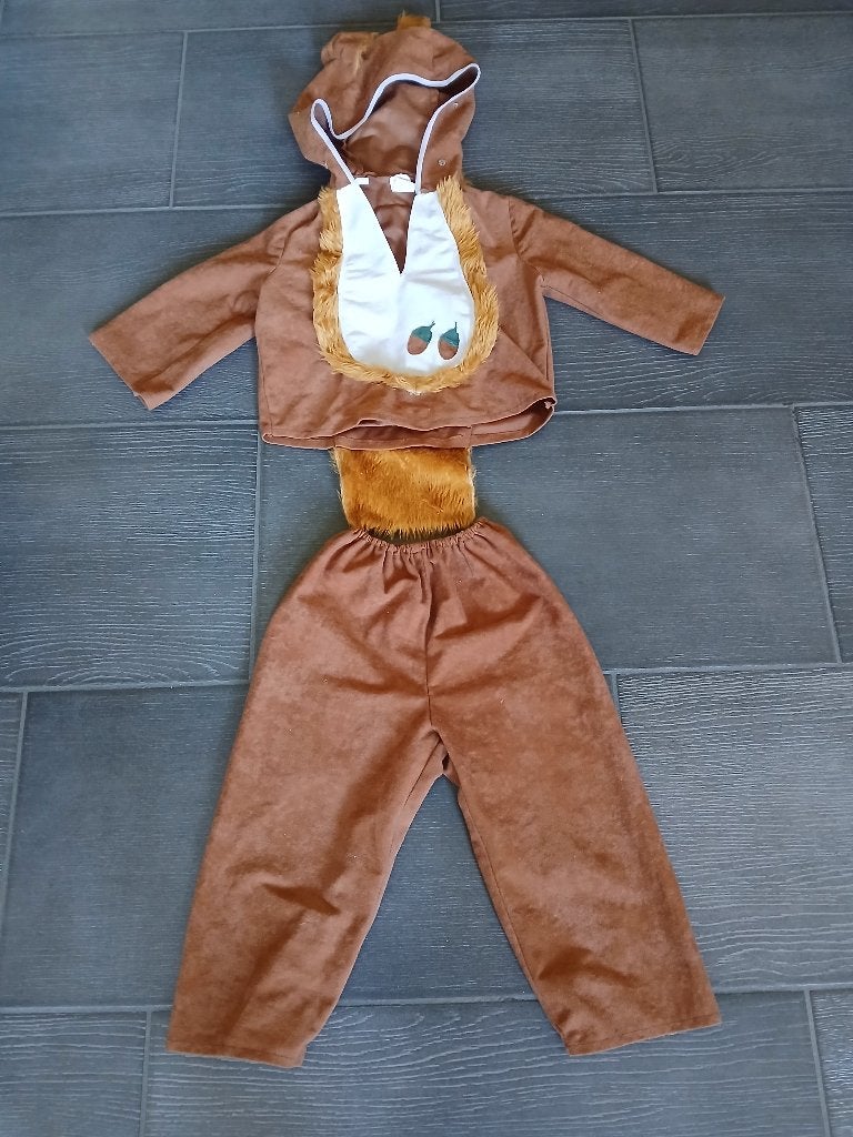 Verkleedpakje eekhoorn maat 98, Kinderen en Baby's, Carnavalskleding en Verkleedspullen, Ophalen, Gebruikt, 104 of kleiner, Meisje