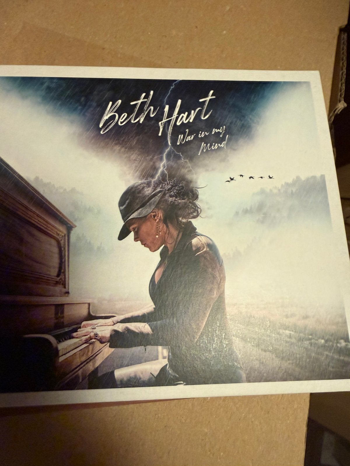 Cd box beth hart war in my mind, Ophalen of Verzenden, Zo goed als nieuw, Poprock