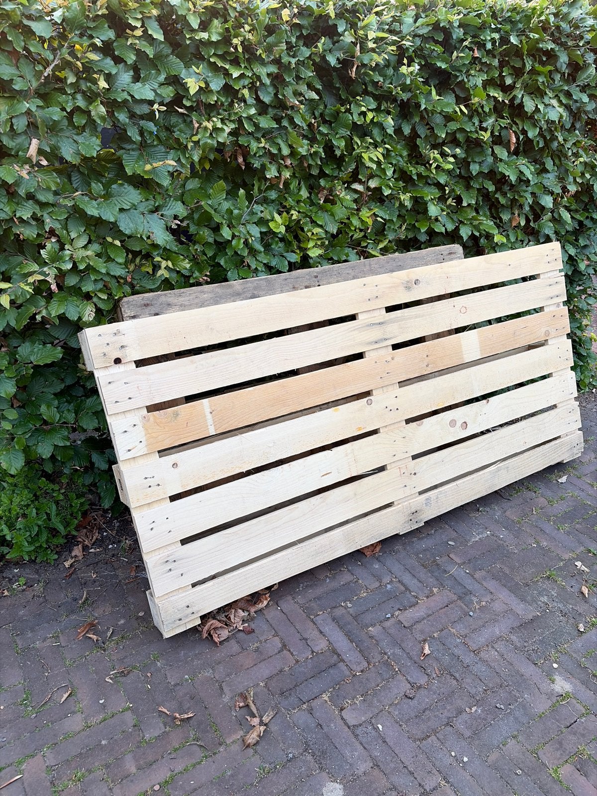 Houten Pallet - Ideaal voor tuinprojecten, Ophalen, Gebruikt, 50 mm of meer, Pallet