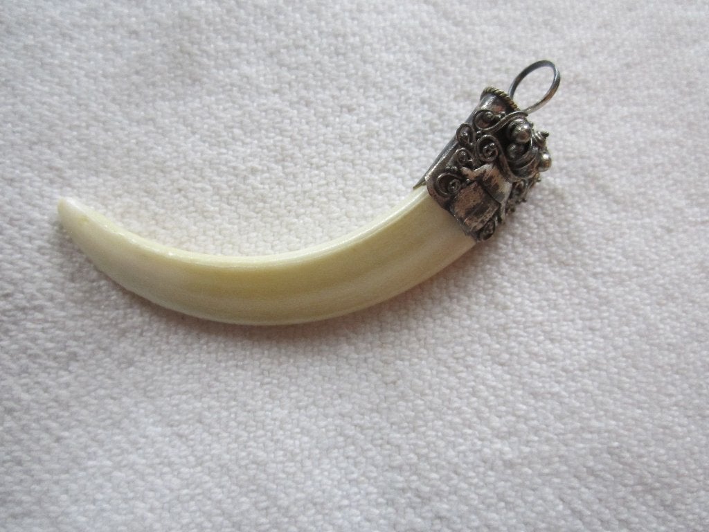 19.   Schitterende oude hanger,  tand, zilver, Ophalen, Overige materialen, Hanger