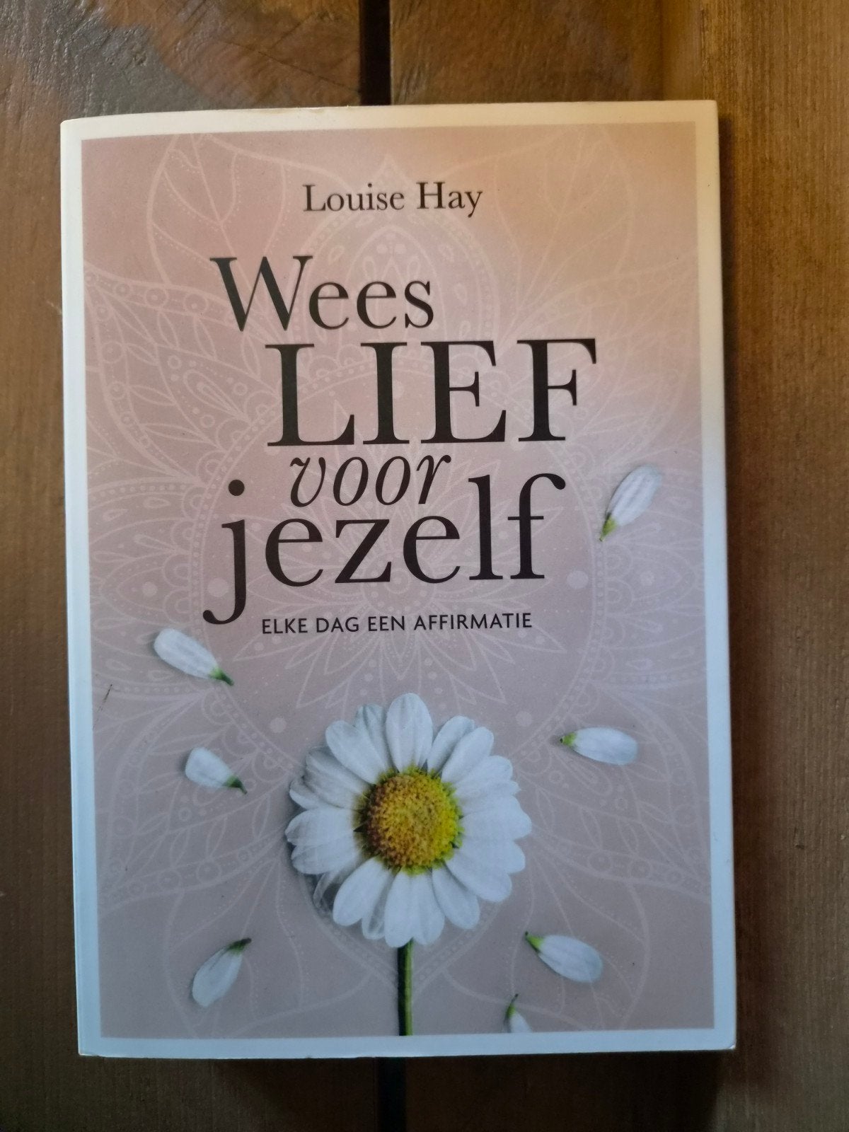 Wees LIEF voor jezelf - Louise Hay, Boeken, Ophalen of Verzenden