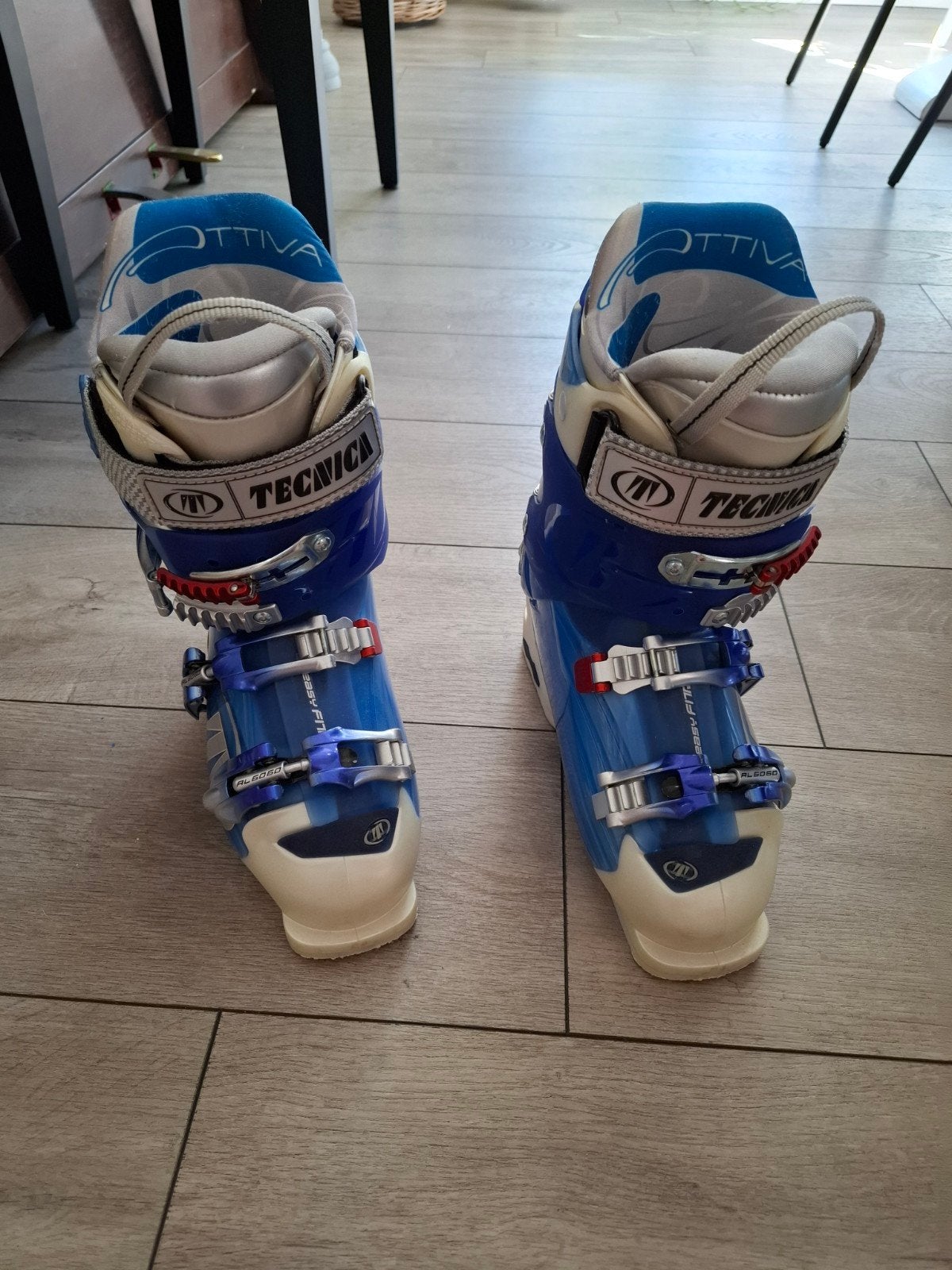 Tecnica Skischoenen - Maat 37 / 38, Overige merken, Gebruikt, Schoenen, Ophalen of Verzenden