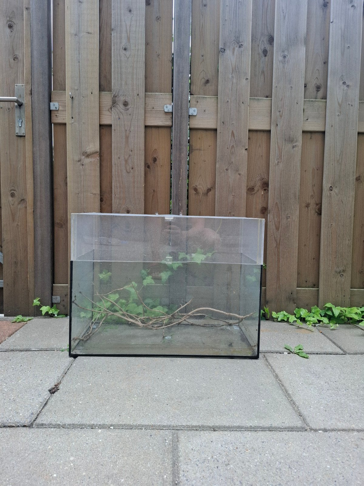 Terrarium 60/30, Dieren en Toebehoren, Ophalen