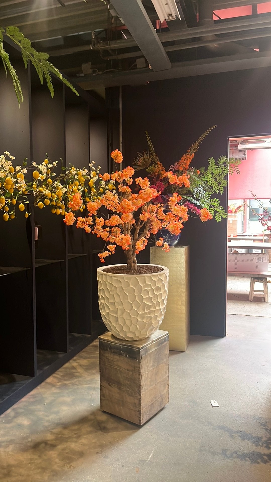Bloesemboom 150cm peach kleur, Ophalen of Verzenden, Zo goed als nieuw, Rond, Minder dan 30 cm