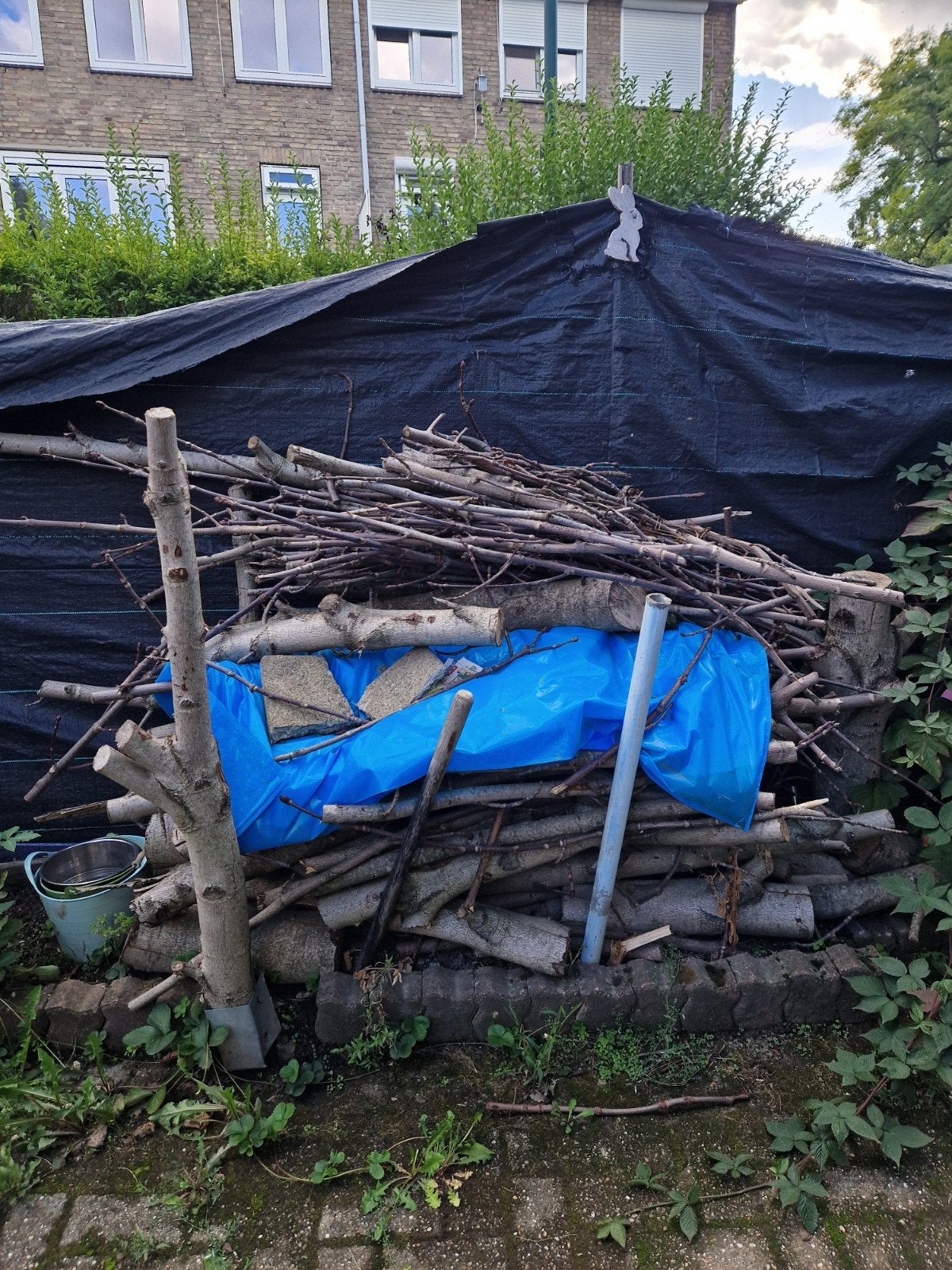 Diverse takken en blokken hout voor brandhout of decoratie, 3 tot 6 m³, Ophalen, Overige houtsoorten, Takken