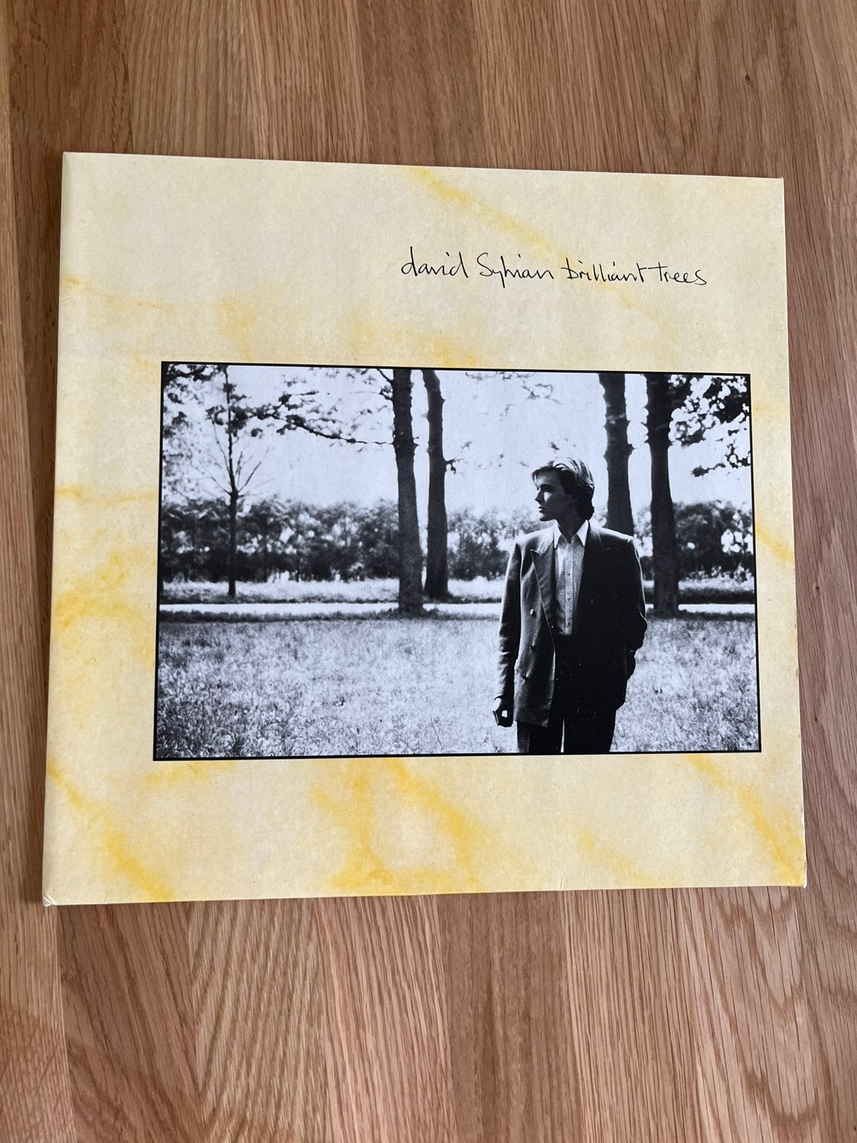 David Sylvian. Brilliant Trees (1984), Ophalen, Zo goed als nieuw, Overige formaten