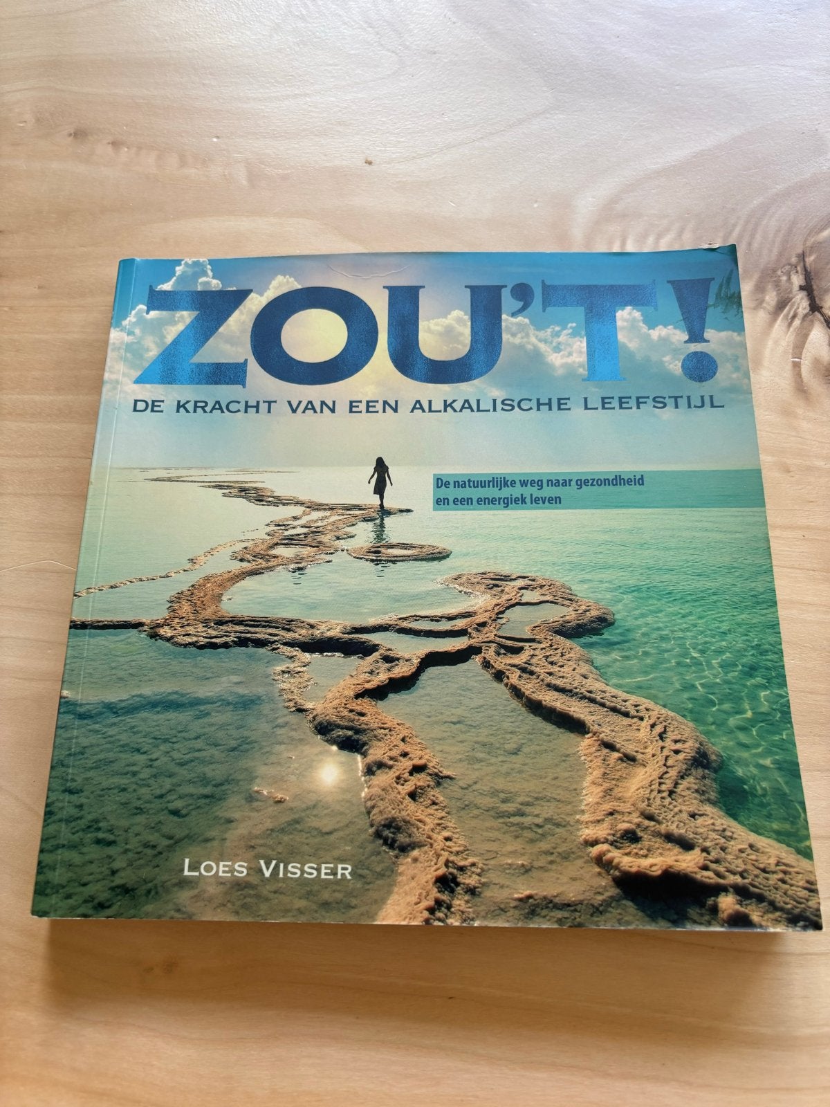 ZOUT! De kracht van een alkalische leefstijl - Loes Visser, Boeken, Ophalen of Verzenden, Zo goed als nieuw, Gezondheid en Conditie