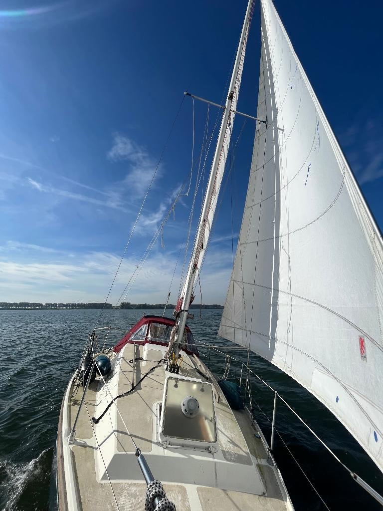 Cobra 850 kajuitzeiler te koop, Watersport en Boten, Ophalen, 16 pk, 9 m, Binnenboordmotor