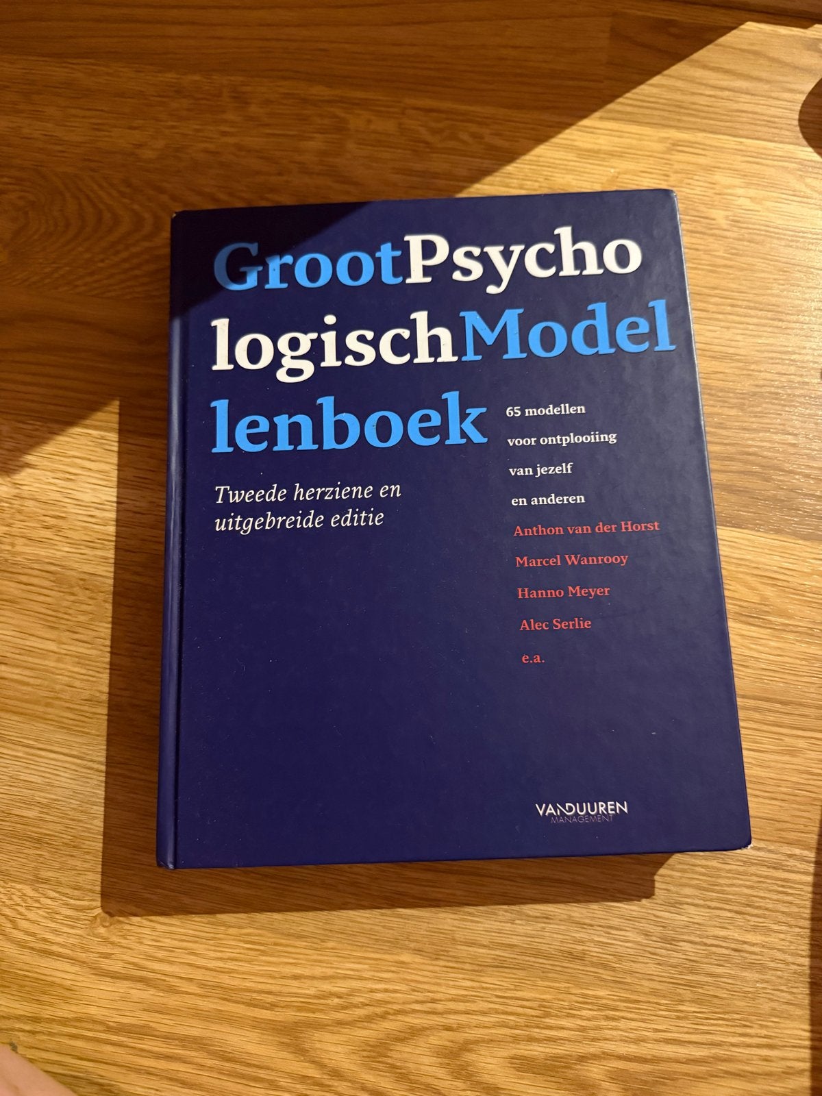 Groot Psychologisch Modellenboek - 2e editie, Verzenden, Zo goed als nieuw, Overige onderwerpen