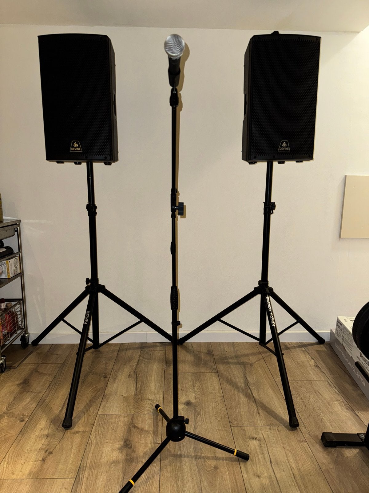 Devine 2x Onyx speakers inclusief statieven, Gebruikt, Inclusief standaarden, Speakerset, Ophalen