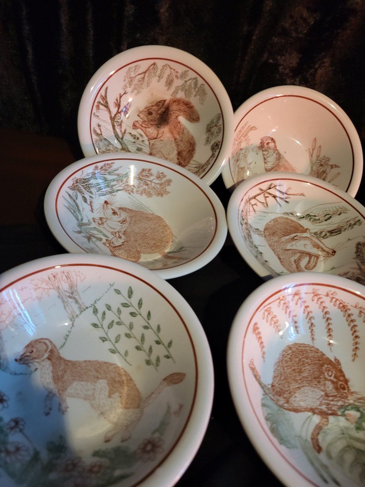 6 John Tams Limited Royal Society bordjes met dieren, Ophalen of Verzenden