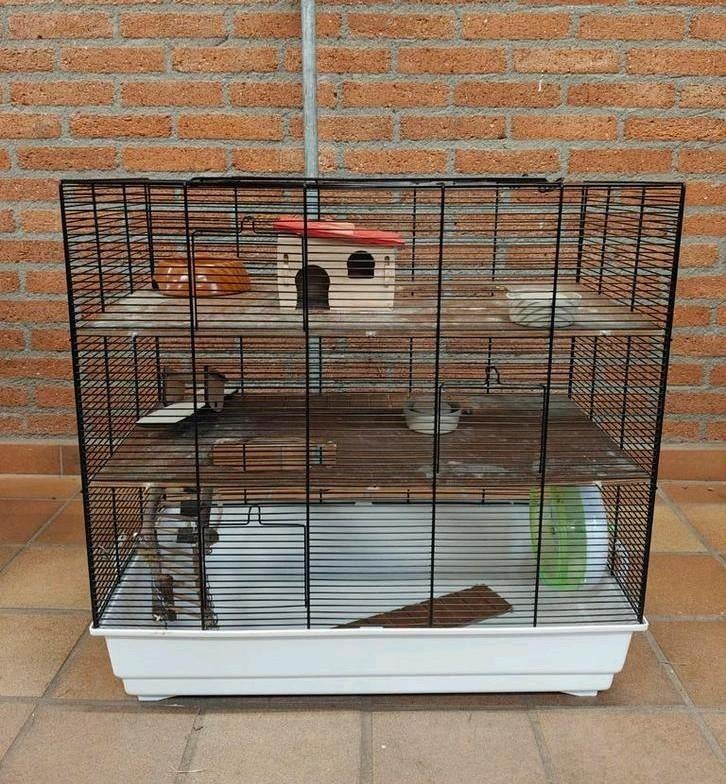 Hamsterhok, Dieren en Toebehoren, Ophalen, Minder dan 75 cm, 60 tot 90 cm