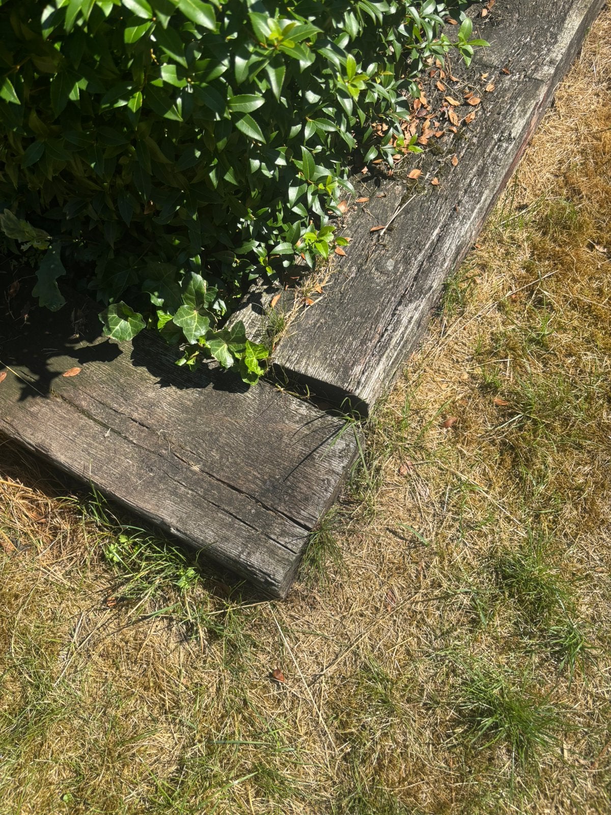 Massieve oude spoorbielzen / houten bielzen – tuin of border, Ophalen of Verzenden, Gebruikt, Hout, Biels