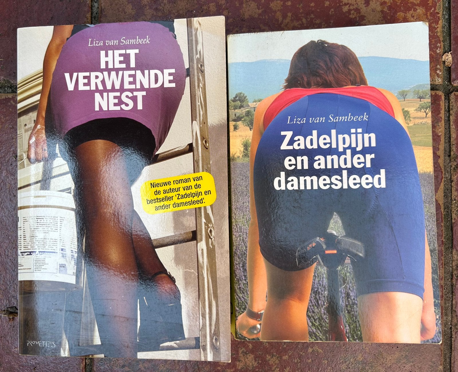 ZADELPIJN  + HET VERWENDE NEST - Liza van Sambeek, Boeken, Ophalen of Verzenden, Gelezen