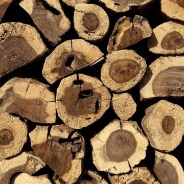 Bbq hout, haardhout, Tuin en Terras, Haardhout, Minder dan 3 m³, Ophalen, Overige houtsoorten, Stammen