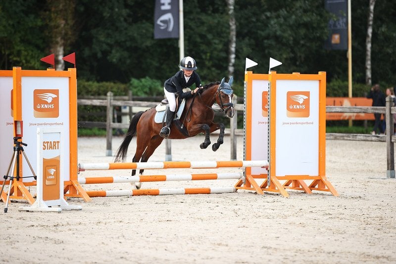 Betrouwbare beginnerspony’s , sportpony’s & Familiepony’s, Dieren en Toebehoren, Ruin, 3 tot 6 jaar, B pony (1.17m tot 1.27m)