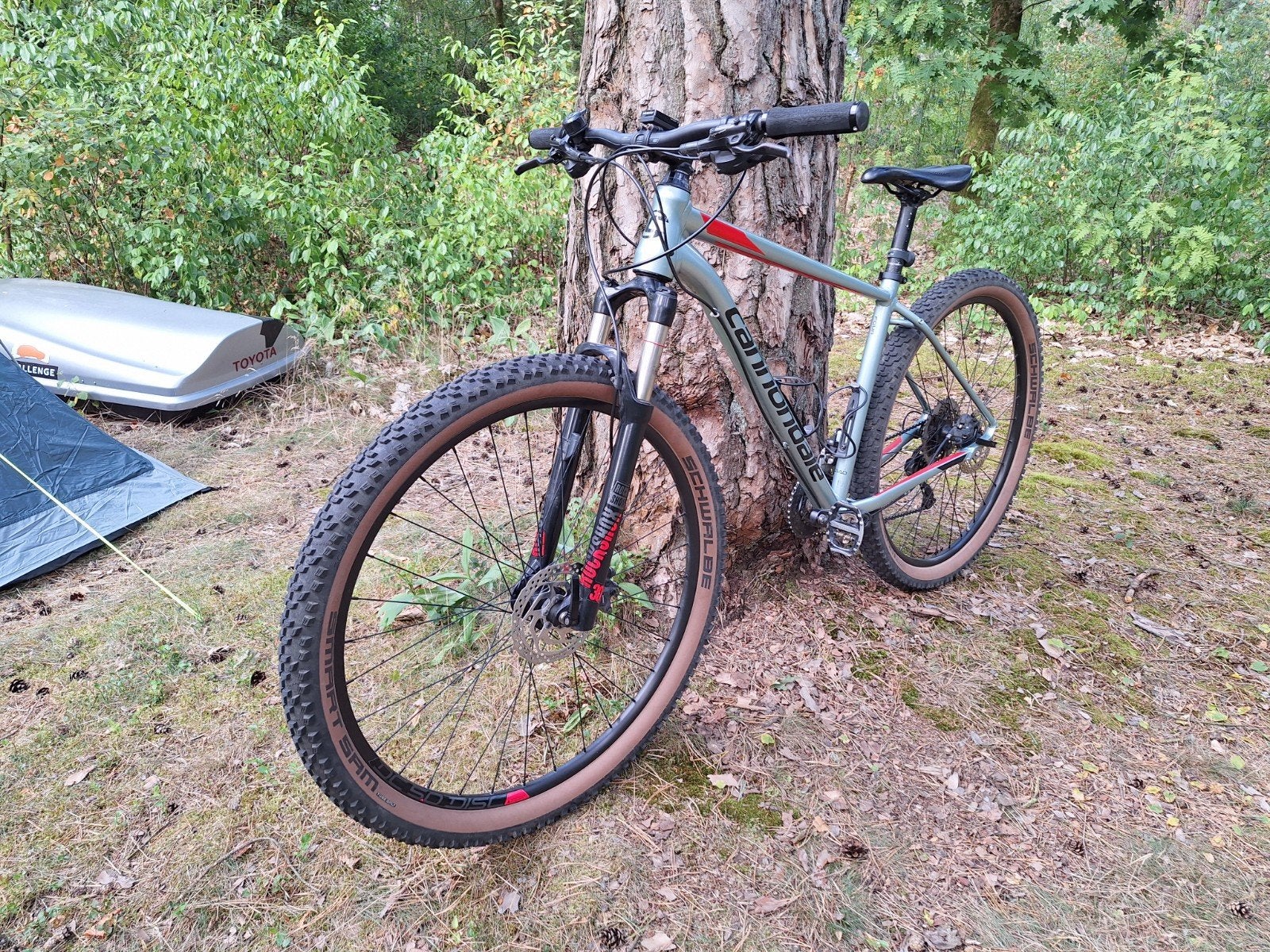 Cannondale Trail 29r Mountainbike, Gebruikt, Hardtail, Heren, 45 tot 49 cm