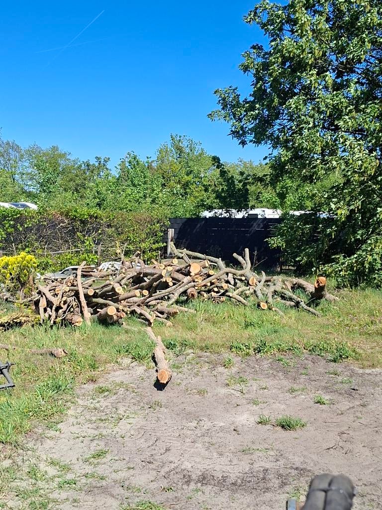 Gekapt hout, 85% eikenhout ongeveer, Tuin en Terras, Haardhout, Takken, Overige houtsoorten, 6 m³ of meer, Ophalen of Verzenden