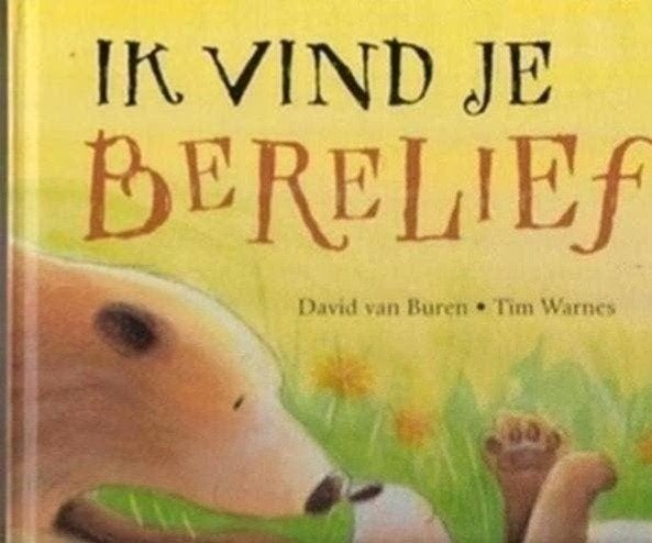 David van Buuren Ik vind je berelief, Fictie algemeen, Jongen of Meisje, Ophalen of Verzenden, Zo goed als nieuw