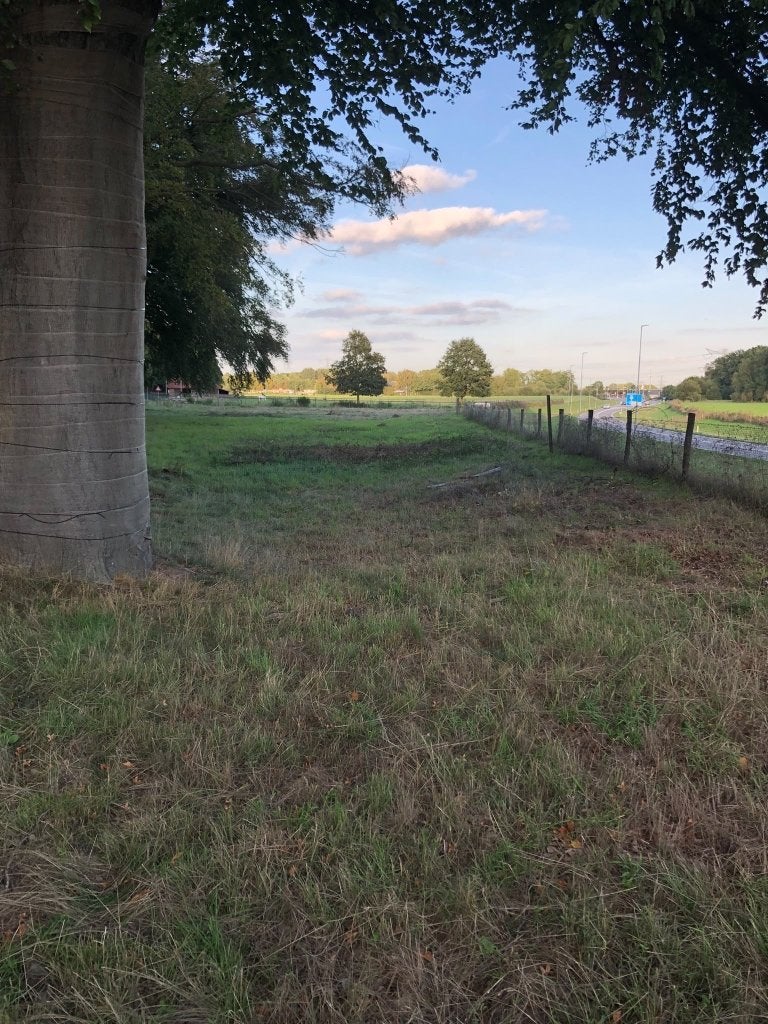 Perceel grond aan de Napoleonsweg in Haelen, Huizen en Kamers, Haelen, 1500 m² of meer